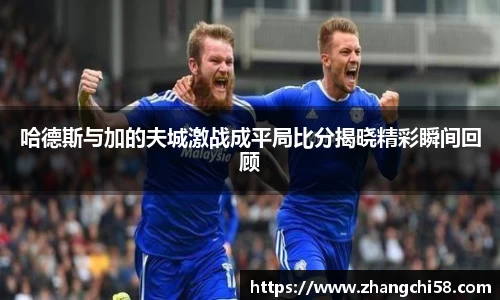 哈德斯与加的夫城激战成平局比分揭晓精彩瞬间回顾
